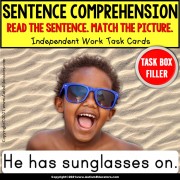 SENTENCE COMPREHENSION | Summer Objects Task Box Filler Activities for Autism